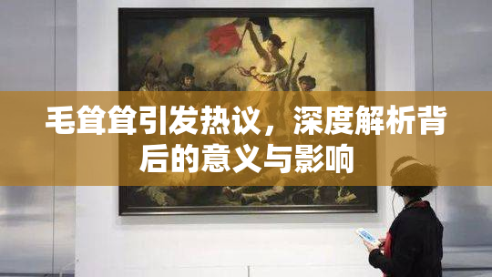毛耸耸引发热议，深度解析背后的意义与影响