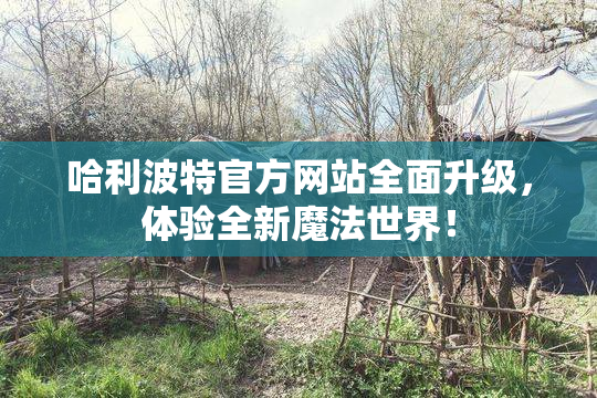 哈利波特官方网站全面升级，体验全新魔法世界！