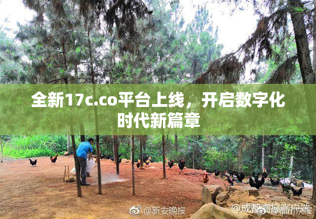 全新17c.co平台上线，开启数字化时代新篇章
