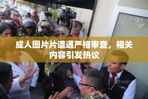 成人图片片遭遇严格审查，相关内容引发热议