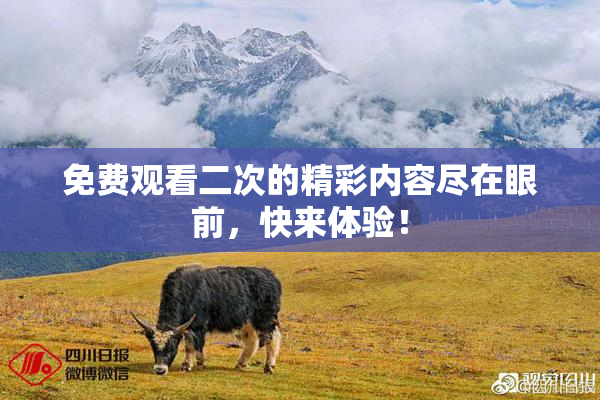 免费观看二次的精彩内容尽在眼前，快来体验！
