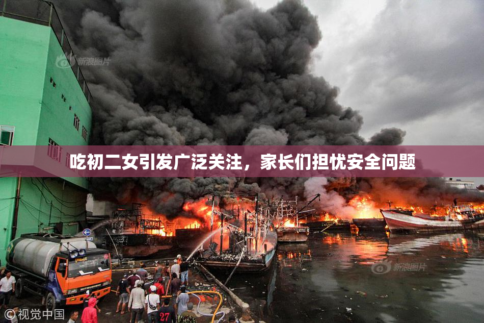 吃初二女引发广泛关注，家长们担忧安全问题