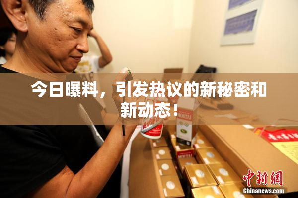 今日曝料，引发热议的新秘密和新动态！