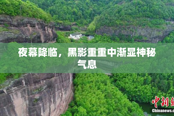 夜幕降临，黑影重重中渐显神秘气息