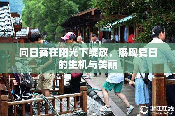 向日葵在阳光下绽放，展现夏日的生机与美丽