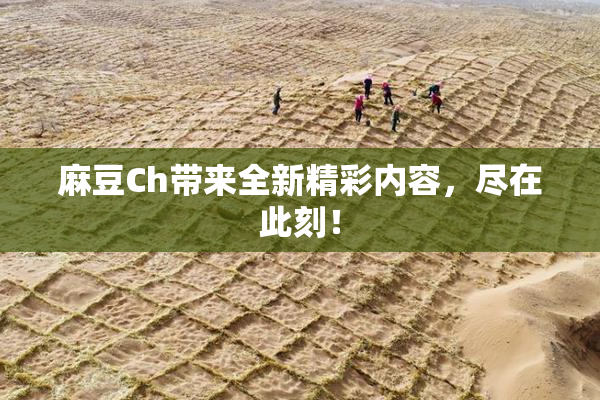 麻豆Ch带来全新精彩内容，尽在此刻！