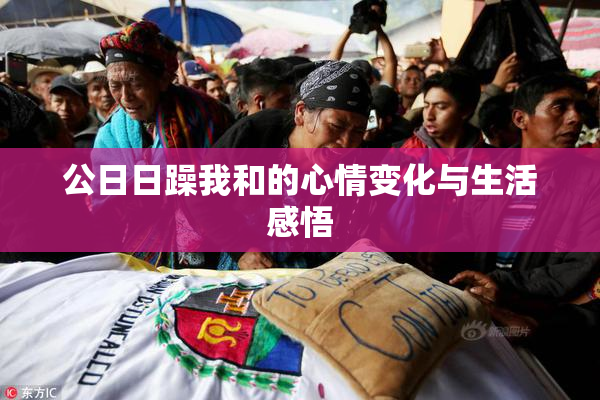公日日躁我和的心情变化与生活感悟