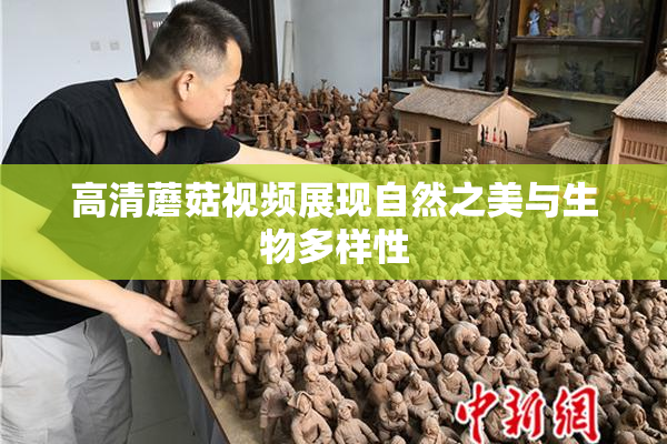 高清蘑菇视频展现自然之美与生物多样性