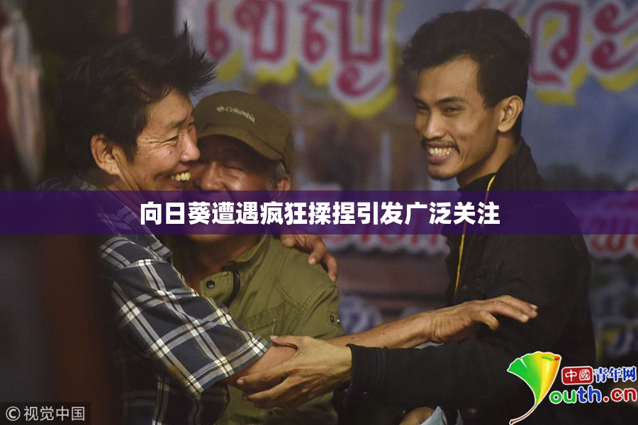 向日葵遭遇疯狂揉捏引发广泛关注