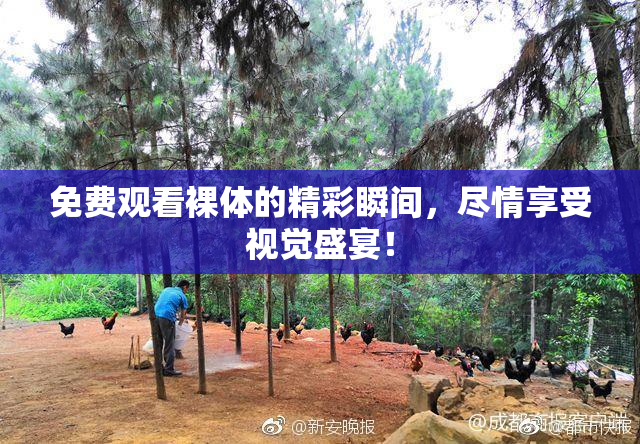免费观看裸体的精彩瞬间，尽情享受视觉盛宴！