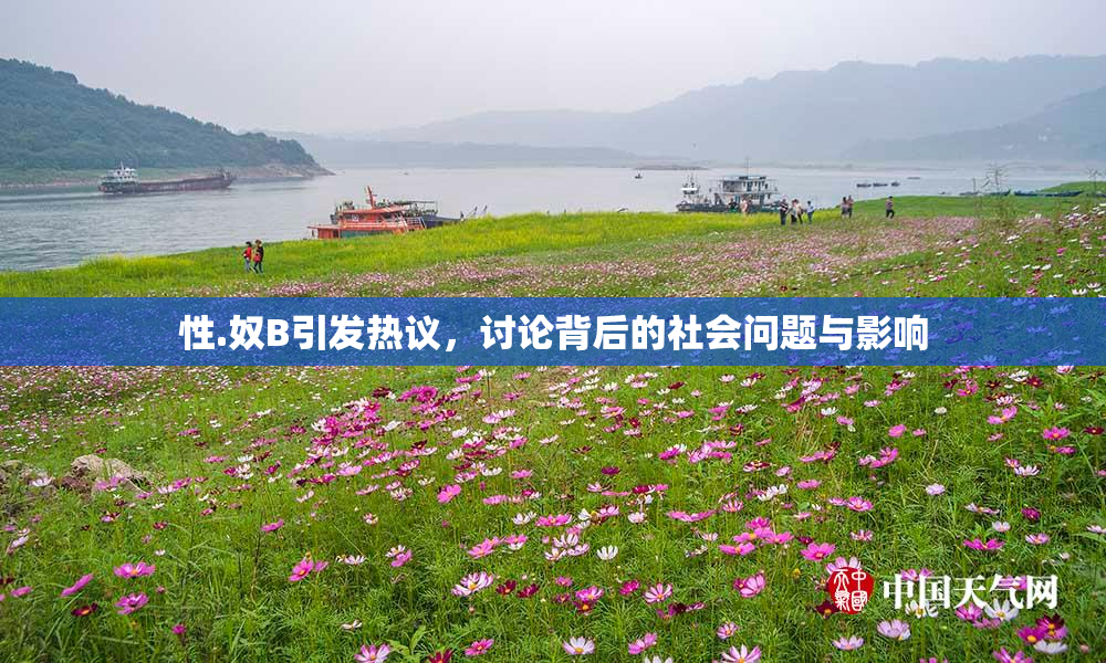 性.奴B引发热议，讨论背后的社会问题与影响
