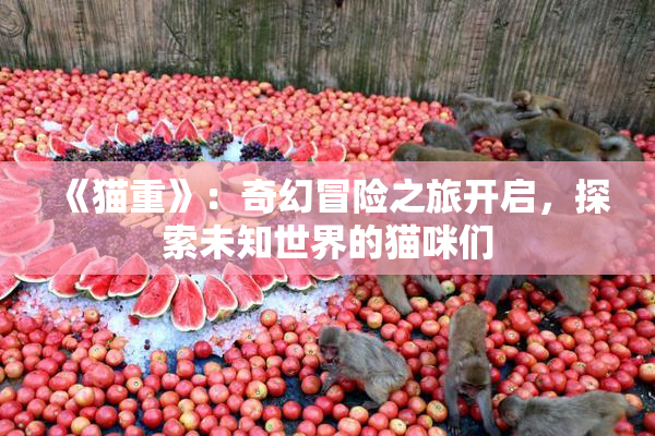 《猫重》：奇幻冒险之旅开启，探索未知世界的猫咪们