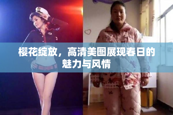 樱花绽放，高清美图展现春日的魅力与风情