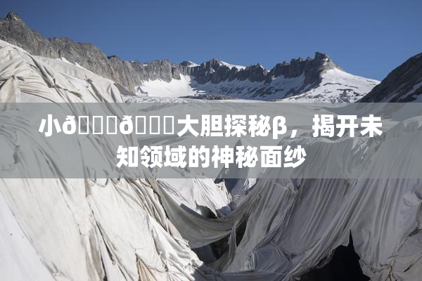 小🐔🐔大胆探秘β，揭开未知领域的神秘面纱