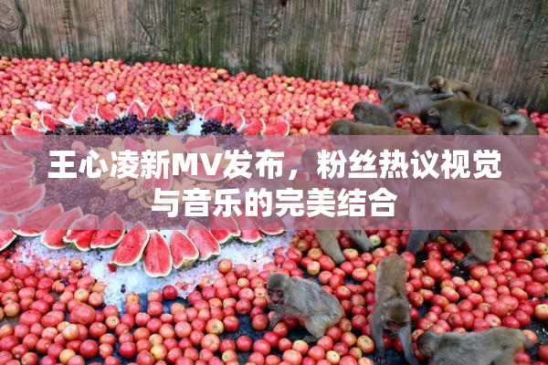王心凌新MV发布，粉丝热议视觉与音乐的完美结合