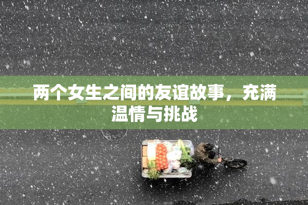 两个女生之间的友谊故事，充满温情与挑战