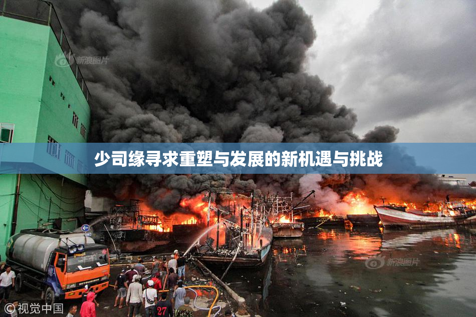 少司缘寻求重塑与发展的新机遇与挑战