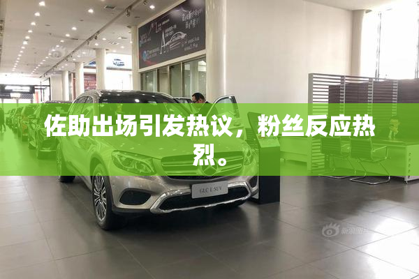 佐助出场引发热议，粉丝反应热烈。