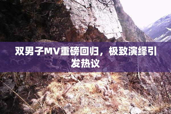 双男子MV重磅回归，极致演绎引发热议