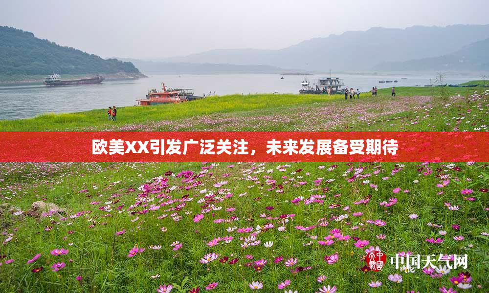 欧美XX引发广泛关注，未来发展备受期待