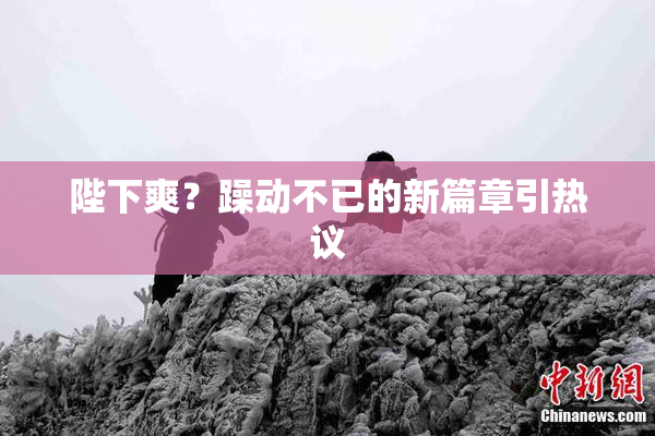 陛下爽？躁动不已的新篇章引热议