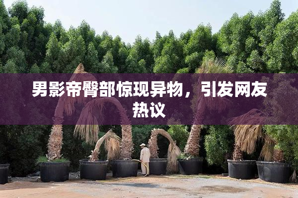 男影帝臀部惊现异物，引发网友热议