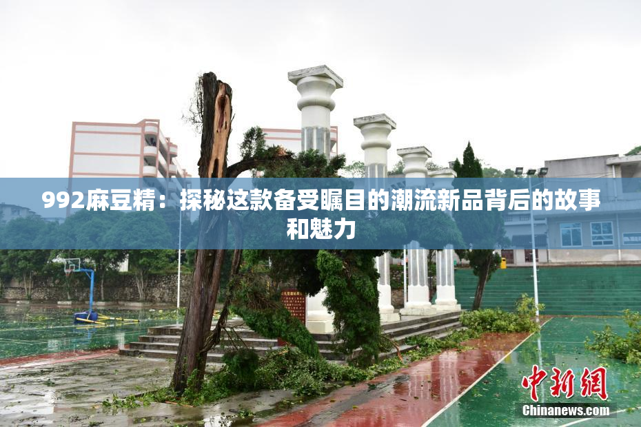 992麻豆精：探秘这款备受瞩目的潮流新品背后的故事和魅力