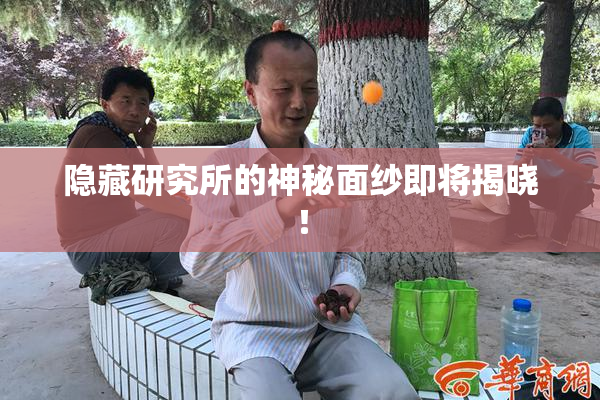 隐藏研究所的神秘面纱即将揭晓！