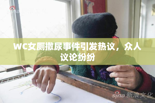 WC女厕撒尿事件引发热议，众人议论纷纷