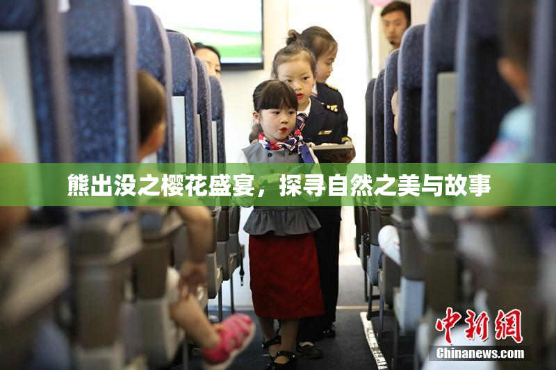 熊出没之樱花盛宴，探寻自然之美与故事