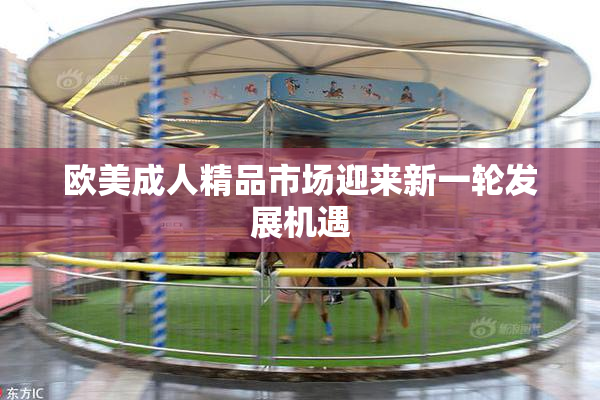 欧美成人精品市场迎来新一轮发展机遇