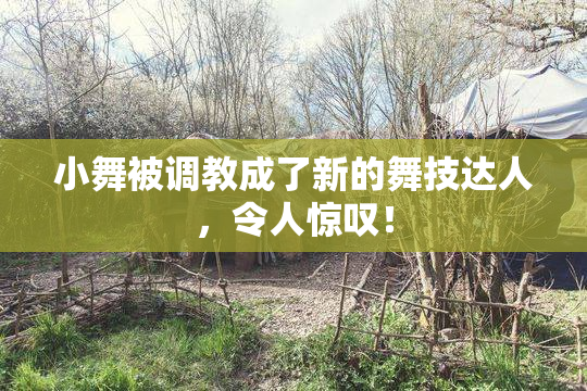 小舞被调教成了新的舞技达人，令人惊叹！