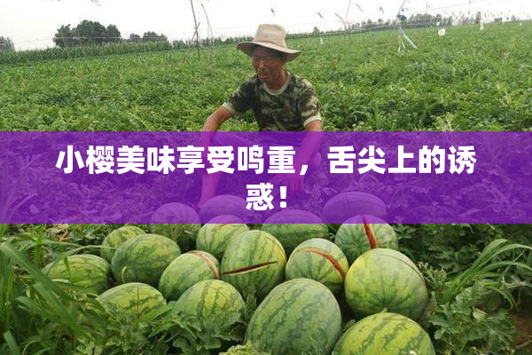小樱美味享受鸣重，舌尖上的诱惑！
