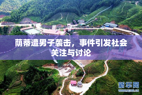 荫蒂遭男子袭击，事件引发社会关注与讨论