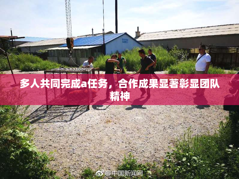 多人共同完成a任务，合作成果显著彰显团队精神