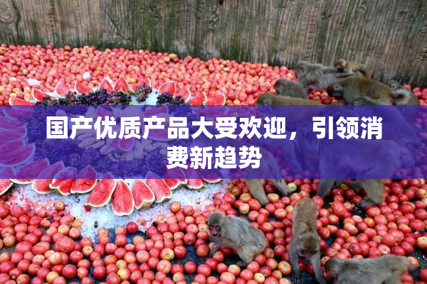 国产优质产品大受欢迎，引领消费新趋势
