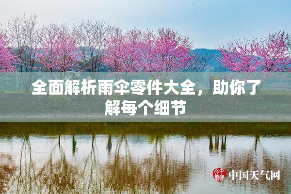 全面解析雨伞零件大全，助你了解每个细节
