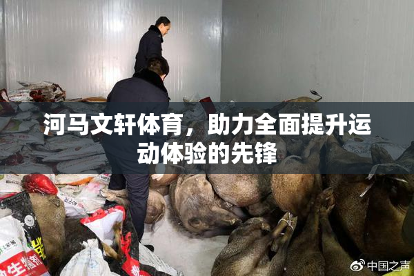 河马文轩体育，助力全面提升运动体验的先锋