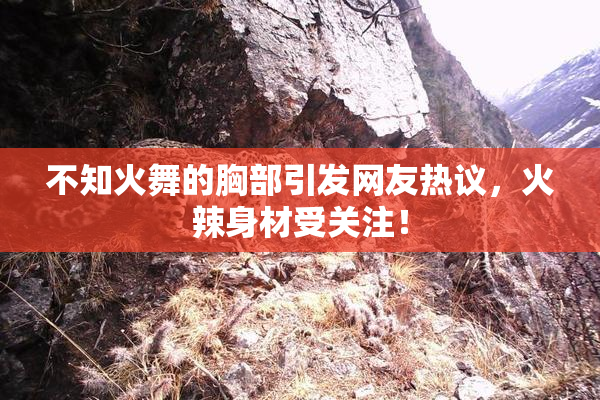 不知火舞的胸部引发网友热议，火辣身材受关注！
