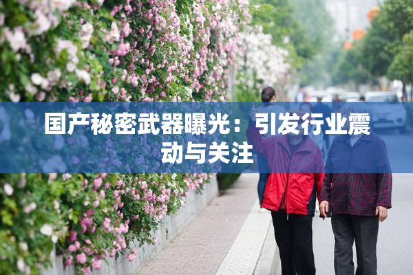国产秘密武器曝光：引发行业震动与关注