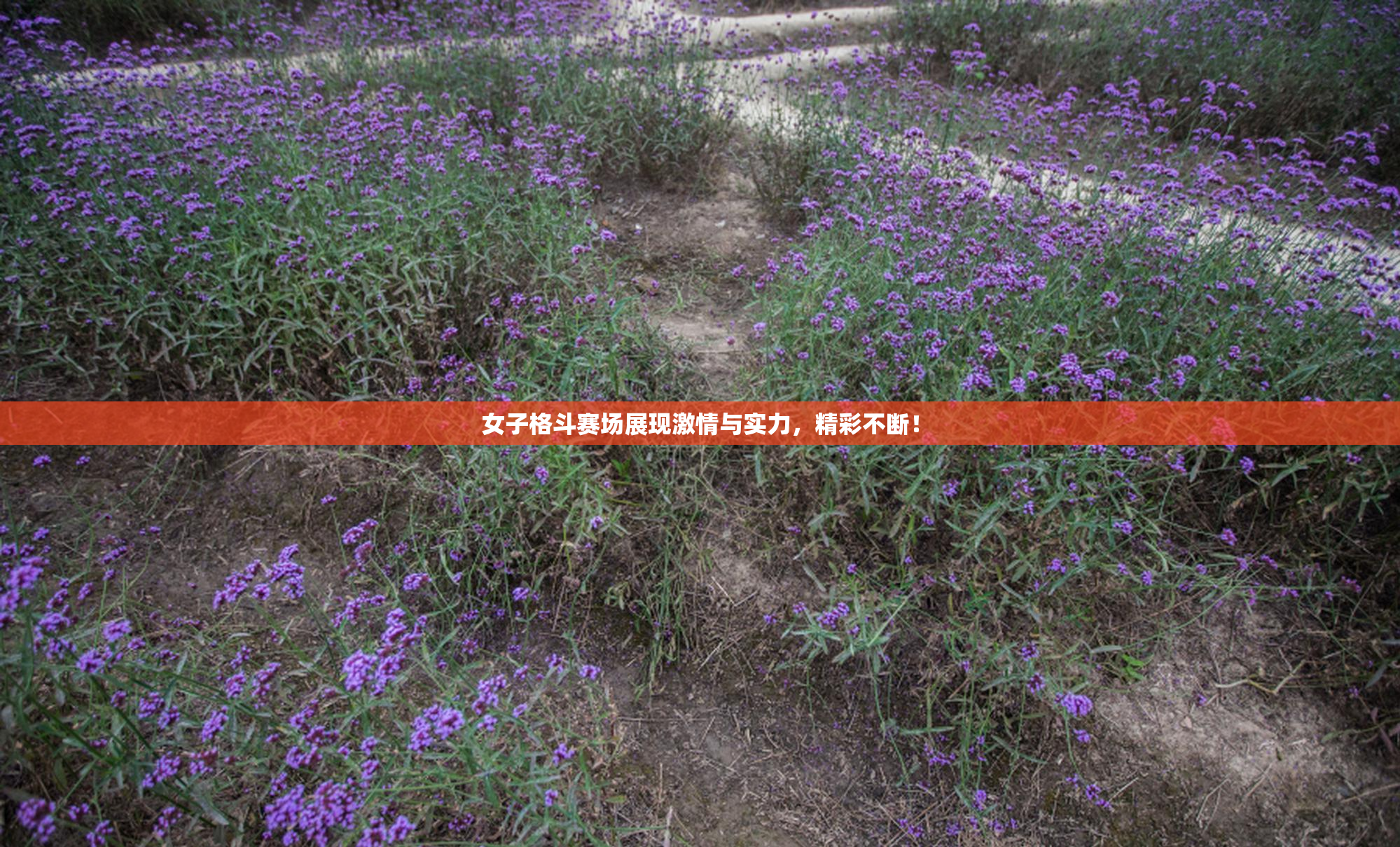 女子格斗赛场展现激情与实力，精彩不断！