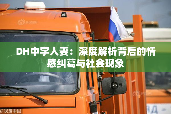 DH中字人妻：深度解析背后的情感纠葛与社会现象