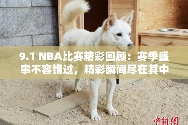 9.1 NBA比赛精彩回顾：赛季盛事不容错过，精彩瞬间尽在其中！