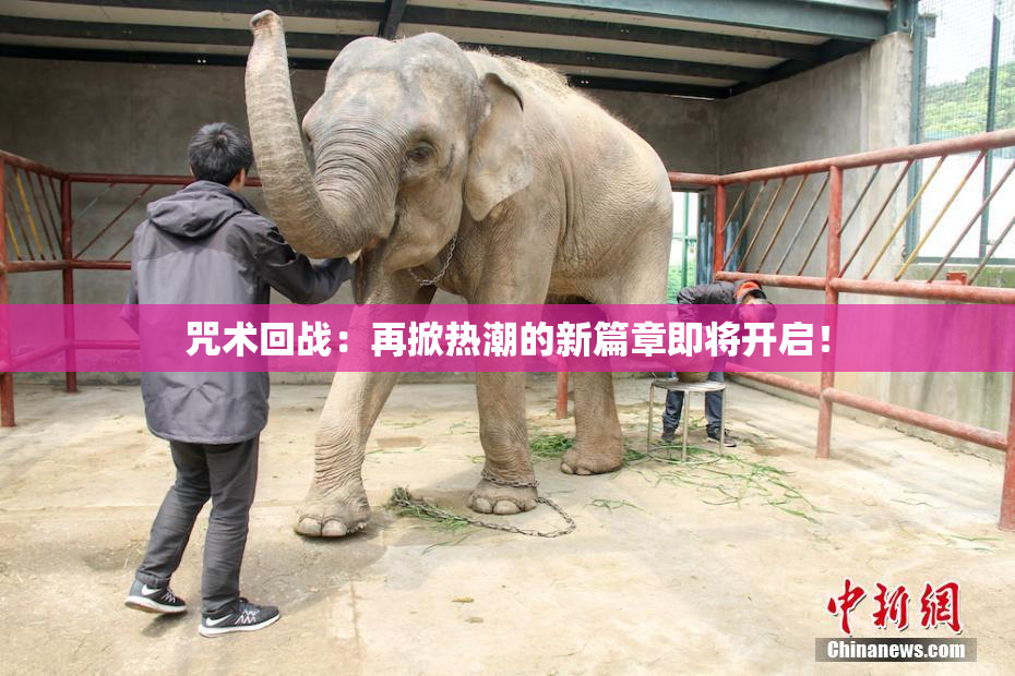 咒术回战：再掀热潮的新篇章即将开启！