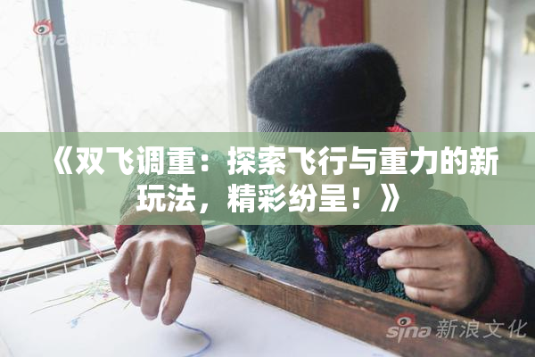 《双飞调重：探索飞行与重力的新玩法，精彩纷呈！》