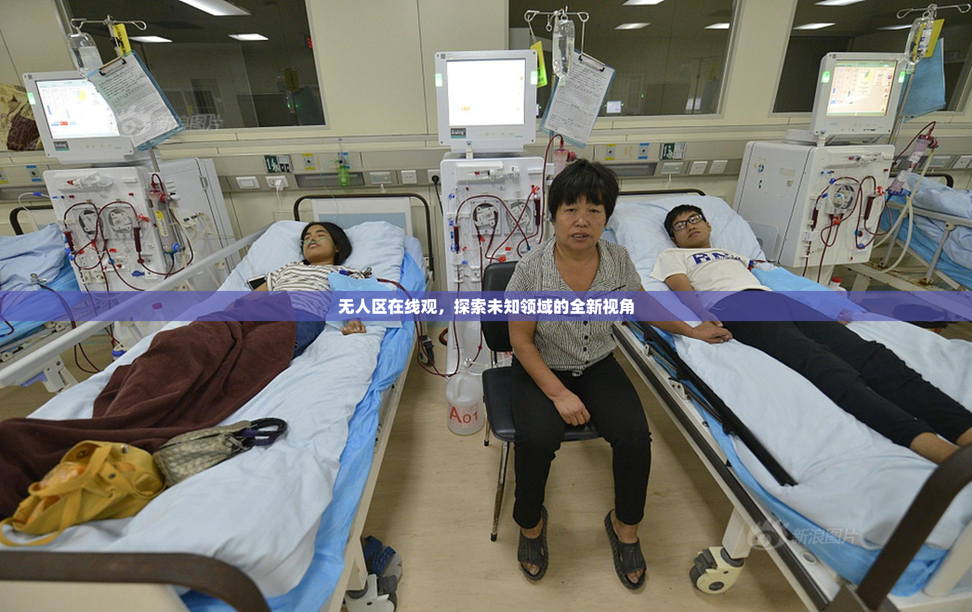 无人区在线观，探索未知领域的全新视角