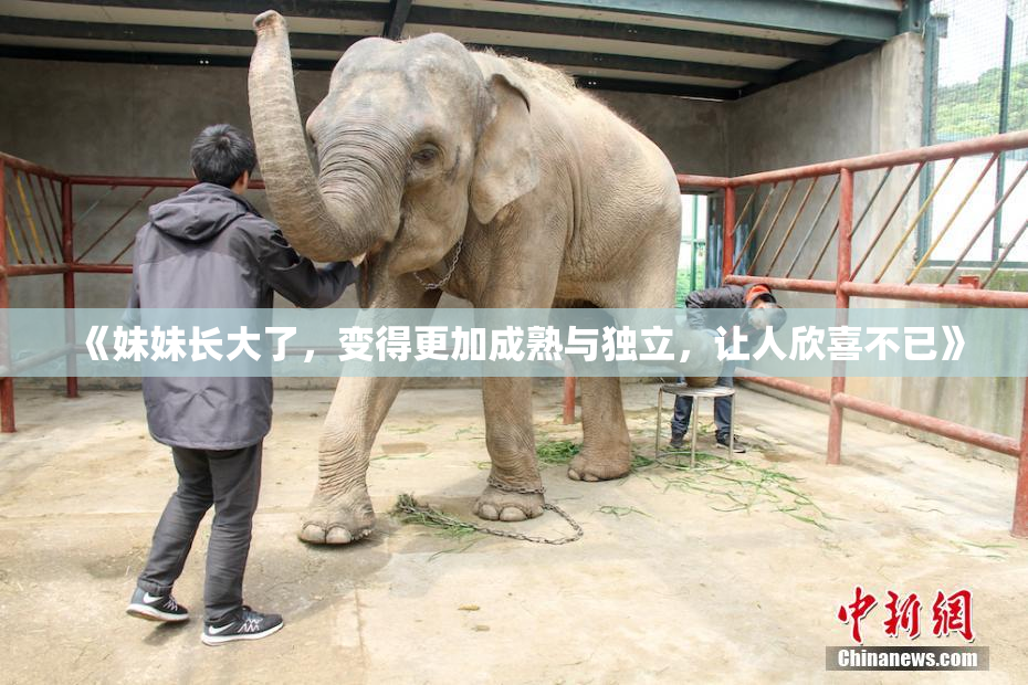 《妹妹长大了，变得更加成熟与独立，让人欣喜不已》