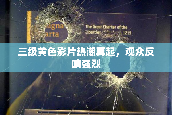 三级黄色影片热潮再起，观众反响强烈