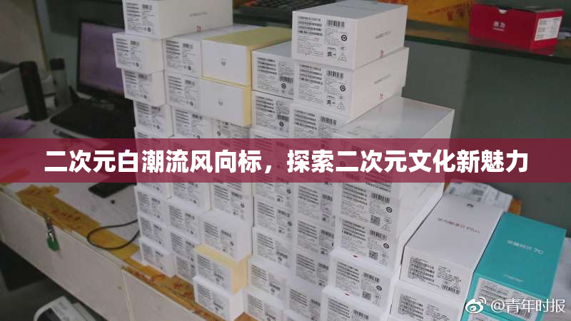 二次元白潮流风向标，探索二次元文化新魅力