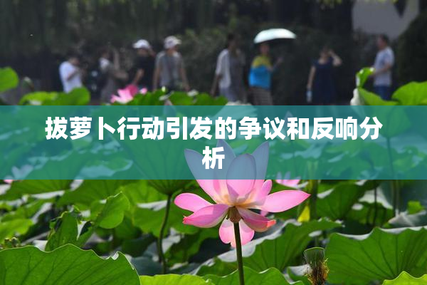 拔萝卜行动引发的争议和反响分析